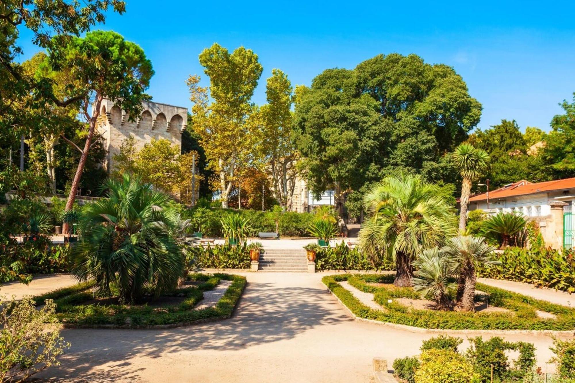 Le Triompha Montpellier Proche Arc De Triomphe Διαμέρισμα Εξωτερικό φωτογραφία